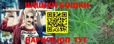 дживик Шелехов