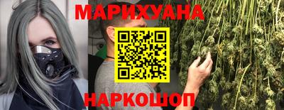 дживик Шелехов