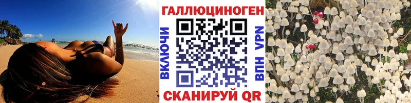 Галлюциногенные грибы Psilocybe  kraken зеркало  нарко площадка как зайти  Белореченск 